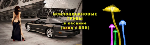 ГАЛЛЮЦИНОГЕННЫЕ ГРИБЫ Богородск