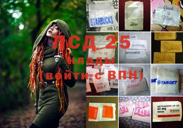 ГАЛЛЮЦИНОГЕННЫЕ ГРИБЫ Богородск